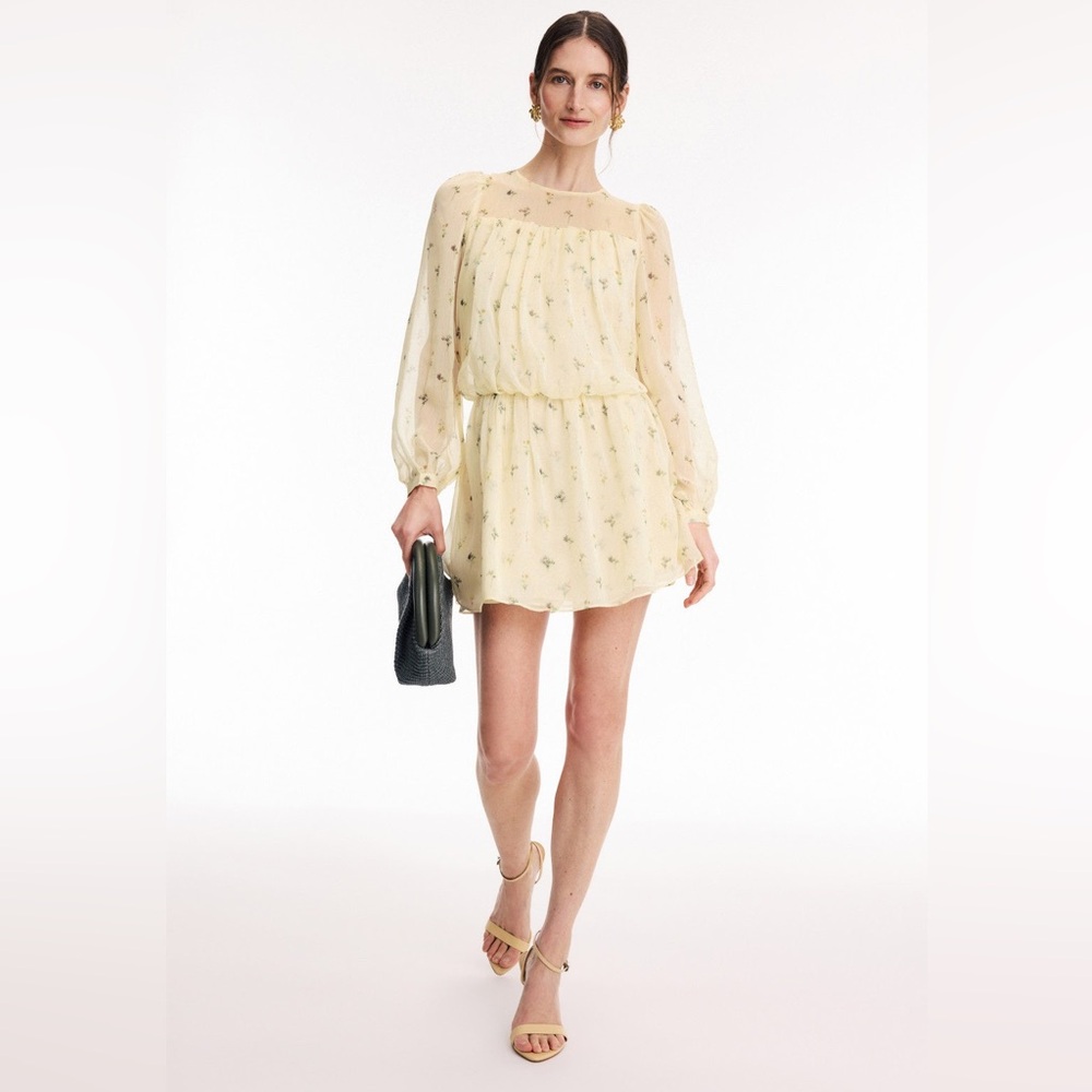 Adam Lippes Long Sleeve Mini Dress